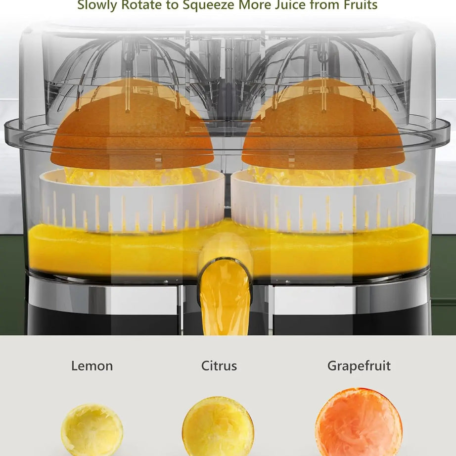 Dual Head Electric Juicer
